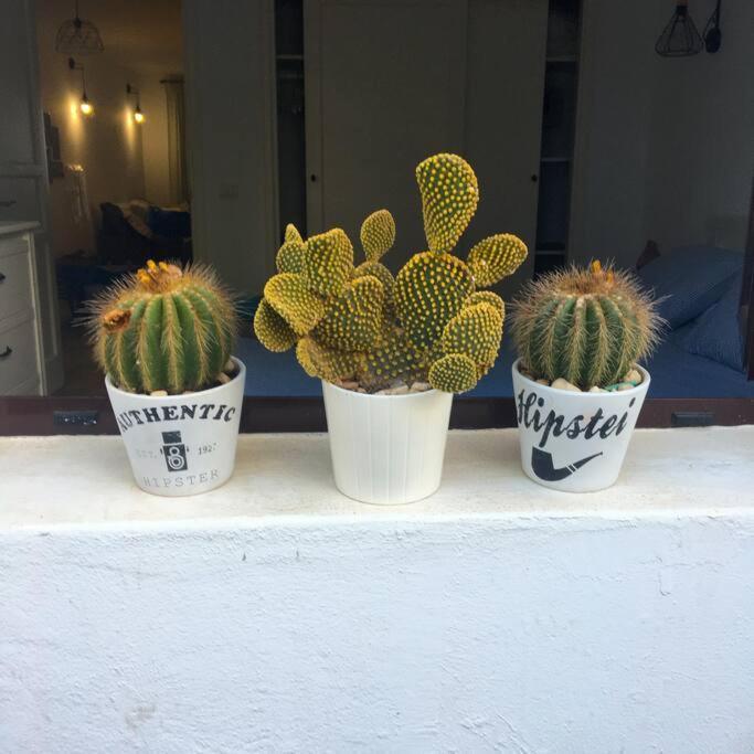Vivienda Vacacional Cactus Коста-Тегисе Экстерьер фото